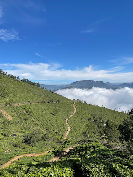 bose peak kolukkumalai trek